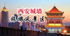 内射美女网站中国陕西-西安城墙旅游风景区