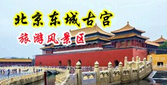 男的抽插女的下面视频污中国北京-东城古宫旅游风景区